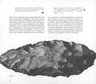 Gran bifaz litica de 10s tallc~resdc Tulin-iwros,
posiblemente vinculada con artefactos de caza
de presas mayores (largo 20,5 cm.).
Laja grabada por 10s arcaicos avanzados de
Tula'n demostrando su preocupacidn por moti-
vos simbdlicos (geornPtricos) y camelidos
v (largo: 17 cm.).
largo de las quebradas tras el aprovechamiento de
todos 10s recursos combinados. Por esta via din6,
mica sostuvieron e incrementaron su desarrollo ha-
bitacional con enfasis en los mas chlidos ambientes
de las quebradas y oasis apegados al gran Salar,
definiendo asi su particular movilidad trashumhn-
tica. Sus artefactos mas usuales eran las puntas de
bases redondeadas, pedunculadas y cbncavas, para
unirlas a 10s dardos de madera (no conocian 10s
arcos). Se complementaban de raederas, perforado-
res, raspadores y cuchillos elaborados con tknicas
de percusion y presidn sobre lascas y laminas con
formasde matrices de aspectosburdos traidas desde
10s talleres, que luego refinaban con retocadores de
hueso (presidn), con 10s cuales podian astillarlos
fiiamente hasta lograr instrumentos con puntas o
bordes bien afilados.Conocian ademas el trabajo de
la piedra pulimentada, hasta el punto de que ahora
aparecen cuentas de piedra finamente tratadas que
constituyen 10s primeros adornos conocidos.
---LAM 9
16
 