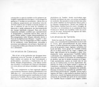onentacion se aprecia tambiCn en 10s pnmeros pe-
troglifos registradosde esta Cpoca,con la imagende
guanacos o vicuiias en movimiento. LSeria esto ya
un esfuerzo auspiciatorio por domesticar esta im-
portante especie pala la futura economia punefia? Lo
que si sabemos es que la carne de camClido era
apetecida y podia mantenerse sin descomposici6n
por tiempo indefisido (charqui). Para este efecto
empleaban multiples cuchillos que constantemente
se desgastaban y requerian nuevos fios; para lo-
grarlo debian mellar o raspar intencionalmente 10s
filos,desgastados sobre bloques ubicados dentro y
fuera de las habitaciones(bloques “rayados” o des-
gastadores). Una vez desgastados 10s fios o bordes
de 10s artefactos, como plataformas, procedian a
presionar normalmente con un hueso, haciendo sal-
tar pequeiiasastillas que rehacian 10sbordes cortan-
tes o punzantes.
Los arcaicos de Calarcoco
Mas al sur, en las quebradas que desaguan inme-
diatamente cerca de Toconao, se aglutino otro po-
blado similar con puntas de base redondeadas y
pedunculares. asociadas a implementos de mo-
lienda. bloques desgastadores, y las tipicas vivien-
das circulares. Los grupos de Calarcoco distribuye-
ron estas pircas con menos densidad o mas disper-
sas.
En este campamento se han registrado algunos
enterramientoy humanos datados glohalmente a 10s
3000 anos a.C.. con caracteres fisicos arcaicos que
recuerdan a las mismasgentes sepultadasen el cam-
pamento de Tambillo. Parece seguro que lacomuni-
dad Calarcoco ascendia hacia la alta puna. por 10s
alrededores de Tumbre. donde reactivaban regu-
larmente sus labores de caza. con escasasactividades
de molienda. Sus paraderos eran recintos mas aisla-
dos donde tallaban sus herramientas liticasjunto a
10s bloques desgastadores. Desde este ambit0 de
Huaytiquina, bajaban hasta 10s oasis y desagiies de
Toconao y se reinstalaban en su campamento-base
(Calarcoco).Desde esta localidad, todos 10s recur-
sos de 10s oasis. incluyendo las lagunas del Salar.
estaban a su disposicion.
Los arcaicos de TambiIlo
Entre 10s oasis de Toconao y San Pedro de Ata-
cama, otra comunidadde trashumantes arcaicos a h
no datada. per0 presumiblemente de esta misma
Cpoca, se habia instalado en la playa del Salar, mas
cerca de las grandes vegas, lagunas y arboledas del
borde del Salar. Estos grupos de Tarnbillo estaban
alli en la playa misma de las vegas y lagunas del
Salar, algo retirados de 10s desagiies y oasis. Gra-
dualmente varias agrupaciones Tambillo habian
conformado sus campamentas muy contiguos con
viviendas circulares en hoyadas sin ordenamientos
de piedras, que por lo demas escasean en el lugar.
Cada asentamiento, parece no reunir mas de una
decena de habitaciones en leves depresiones dis-e
puestas en torna a un fogon central y sectores de
comedores, cubiertos de huesos de camklidos, roe-
dores locales (cholulos) y elementos de molienda.
Durante el inviernolas manadas de camilidos baja-
ban en busca delforraje de “unquillo” delas vegasy
lagunas del Salar y aqui pudieron perdurar hasta la
primavera, cuando las lagunas presentan su maxim0
potencial. Es probable que parte de 10s asentamien-
tos Tambillo hayan ocupado estos lugares calidos
19
 