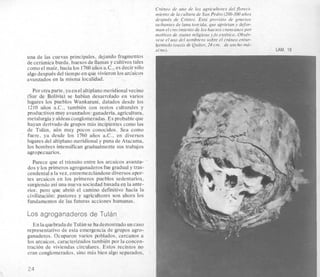 Craneo de uno de 10s agricultores del jloreci-
miento de la cultura de San Pedro (200-300aAos
despue's de Cristo). Esta provisto de gruesos
tuTbantes de [ana torcida, que aprietan y defor-
man el crecimiento de 10s huesos craneanos por
motivos de status religioso y/o este'tico.ObsPr-
vese el uso del sombrero sobre el craneo entur-
bantado (oasisde Quitor, 24 cm. de ancho ma-
xi-no). LAM. 18
una de las cuevas principales, dejando fragmentos
de cerkmica burda, huesos de llamas y cultivostales
como el maiz, hacia 10s 1760afios a.C., es decir so10
algo despuks del tiernpo en que vivieron 10s arc'aicos
avanzados en la misrna localidad.
Por otra parte, yaen el altiplanomeridional vecino
(Sur de Bolivia) se habian desarrolado en varios
lugares 10s pueblos Wankarani, datados desde 10s
1210 aiios a.C., tambien con restos culturales y
productivos muy avanzados:ganaden'a, agricultura,
metalurgia y aldeasconglomeradas. Es probable que
hayan derivado de grupos mas incipientes corn0 10s
de Tulan, aun muy pocos conocidos. Sea como
fuere, ya desde 10s 1760 afios a.C., en diversos
lugares del altiplano meridional y puna de Atacama,
10s hombres intensifican gradualmente sus trabajos
agropecuarios.
dos y 10s primeros agroganaderos fue gradual y tras-
cendental a la vez, entremezclandose diversos apor-
tes arcaicos en 10s primeros pueblos sedentarios,
surgiendo asi una nueva sociedad basada e9 la ante-
rior, per0 que abrio el camino definitivo hacia la
civilizacion: pastores y agricultores son ahora 10s
fundamentos de las futuras acciones humanas.
Parece que el trinsito entre 10s arcaicos avanza- '
Los agroganaderos de Tulan
Enlaquebradade Tulan sehademostradouncaso
representativo de esta emergencia de grupos agro-
ganaderos. Ocuparon varios poblados, cercanos a
10s arcaicos, caracterizadostambien por la concen-
tracion de viviendas circulares. Estos recintos no
eran conglomerados, sino mas bien algo separados,
24
 