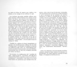 ser pieles de felino de manera muy similar a 10s
tallados en 10s mangos de las tabletas de rape.
Las cucharas decoradas tambikn reflejan estos
cultos durante el florecimientode la cultura de San
Pedro. En efecto, una sene de estos implementos
cuyos mangos aparecen tallados casi siempre con
motivos zoo-antropomorfos ygeomttricos (el Sacri-
ficador, felihos, etc.), recuerdan en forma extraor-
dinaria las representaciones de 10s instrumentos del
complejo de rape. Mientras que algunas cucharasno
decoradas. que se han encontrado, pueden haber
sido utilizadas con prop6sitos domesticos, es 16-
gico pensar que las cucharas talladas con figuras
magico-religiosas estiin estrechamenterelacionadas
con las ceremonias del complejo del rape. Podria
sugerirse unafuncion ritual que,en una uotraforma,
pudiese corresponder a la ingestion de comidas y o
de bebidas durante las ceremonias en las que se
insuflaba el rape, bajo la accion espectacularde 10s
Shamanes“comunicados” con un mundoirreal(ver
lamina N.O 28-b)
TambEn 10s cubiletes de hueso pimgrabados se
agregan a las manifestaciones culticas con un estilo
Tiwanakupuro, encontrados en tumbas en relacion
con tabletas de rape, tubos, etc. Generalmente pre-
sentan sacerdotesenmascaradoscon rostrofelinico,
demostrando una vez mas esta verdadera obsesi6n
por imitar sus fauces.
En resumen, 10s implementos del “complejo de
rap&”,sugierenque 10s “sacerdotes” del auge de la
culturade San Pedroaspiraban un polvo conefectos
estimulantes o alucinantes como parte de un acto
ritual dentro de ceremonias que incluian otros ele-
mentos, tales como el us0 de mascaras, la decapita-
ci6fi (probablemente en forma de sacrificio humano)
y, por la presencia de las cucharas con motivos
sirnbolicos se infiere la distribucion de bebidas y y
comidas entre 10s participantes. Es 16gicosuponer,
que estas ceremonias tenian una funcidn magico-
religiosa y, posiblemente, a veces, curativa, guiada
por un shaman que entraba en trance y se comuni-
caba con el mundo sobrenatural. El papel deljaguar
debe haber sido de suma importancia. Podria haber
representado una especie de “alterego” del sha-
man, tal como lo indica, por ejemplo, el notable us0
de mascaras de jaguar. La representacion de otros
animales (condores, serpientes, etc.) en 10s instru-
mentos rituales, permite suponer que diversos sha-
manes se aliaban con diferentes animales. El “com-
plejo del rape”, pudiera ahn haber formadoparte de
habitos insuflatorios de gran parte de la poblacion,
pero adquirian mayor significadoen la indumentaria
de verdaderos “profesionales” con funciones
migico-religiosas y curativas bien asignadas, que
resumian la sabiduria y liturgia andina, tal como se
puede deducir de la lectura de‘10scronistas espaiio-
les y otros de tiempos posteriores para 10s cuales
medicos, shamanes y sacerdotes indigenas a me-
nudo eran simplemente denominados “hechice-
ros” ...
Junto a 10s shamanes conviven duranteeste flore-
eimiento cultural un buen nhmero de artesanos es-
pecializados, 10s cuales lograron controlar la meta-
lurgia y el repujado en laminas de oro.’
35
 