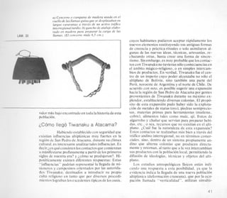 a) Cencerro o campana de madera usada en el
cuello de las llamas-guiasquese desplazabanen
largas caravanas a trave‘sde un activo trcifico
interregional tardio; b)gancho de atalaje elabo-
rad0 en madera para preparar la carga de las
llamas. (El cencerro mide 6,5 cm.)LAM. 33
n I
valor mas bajo encontradoen todala historiade esta
poblacion.
LComo llego Tiwanaku a Atacama?
Habiendo establecido con seguridad que
existian influencias altiplhicas muy fuertes en la
region de San Pedro de Atacama. durante su climax
cultural. es interesante analizartales influencias. Es
decir;.en queconsisten 10s contactosque comienzan
a minifestarse profusamente a partirde 10s primeros
siglos de nuestra era? y jcomo se produjeron?. Hi-
pot6ticamente existen diferentes respuestas: Estas
“influencias” podrian representar la llegada de mi-
sioneros y campesinos oyientados por las autorida-
des Tiwanaku. destinados a introducir su propio
culto religioso en tanto que por diversos procedi-
mientos lograban 10s excedentestipicos de 10soasis,
cuyos habitantes pudieron aceptar rapidamente 10s
nuevos elementossustituyendosus antiguasformas
de creencia y practica rituales o solo asimilaron al-
gunas de las nuevas ideas, tkcnicas, artesanias, re-
chazando otras, hasta crear una forma de sincre-
tismo. Sinembargo,esmuy probable que 10scontac-
tos con Tiwanakuno tuvieran soloconsecuenciasen
el ambito magico-religioso, o en simples intercam-
bios de productos. En verdad, Tiwanaku fue el cen-
tro de un imperio cuyo poder alcanzaba no s610 el
altiplano de Bolivia, sino tambib una parte del
Peru, noroeste de Argentina y el norte de Chile. De
acuerdo con esto, es posible sugerir una expansion
hacia la region de San Pedro de Atacama por gentes
provenientes de Tiwanaku durante su maximo ex-
plendor, estableciendo diversas colonias. El propo-
sito de esta expansion pudo haber sido la explota-
cion de metales de status (oro), piedras serniprecio-
sas, materias primas para herramientas (maderas,
cobre), alimentos tales como maiz, aji, frutos de
algarrobo y chaiiar que servian para preparar bebi-
das, etc., o sea, recursos que no existian en el alti-
plano. jCual fue la naturaleza de esta expansion?
Estos contactos se realizaban mas bien a traves del
trafico andino interregional, no en tirminos comer-
ciales, sino, dentro de un sistema propiamente an-
dino que alterna colonias que producen directa-
mente y retornan, al tanto que a la vez intercambian
sus productos con la poblacion local, permitiendo la
difusion de ideologias, ticnicas y objetos del aIti-
plano.
Los estudios antropol6gicos fisicos estan indi-
cando una respuesta a esta posibilidad, ya que la
evidencia indica la llegada de una nueva poblacion
altiplanica (deformacion craneana), que por la ocu-
pacion llamada “verticalidad”. utilizan simulta-
41
 