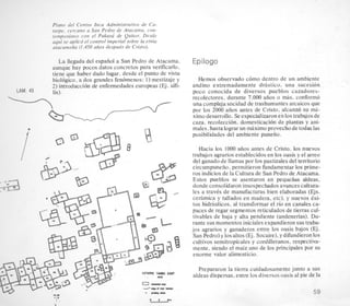 Plano del Centro Inca Adrninistrativo de Ca-
tarpe, cercano a San Pedro de Atacama, con-
temporkneo con el Pukarb de Quitor. Desde
aqui se aplicd el conrrol imperial sobre la ernin
atacametia (I .450 aiios despues de Cristo).
La llegada del espaiiol a San Pedro de Atacama,
aunque hay pocos datos concretos para verificarlo,
tiene que haber dado lugar. desde el punto de vista
biologico, a dos grandes fenomenos: 1) mestizaje y
2) introduccion de enfermedades europeas (Ej. sifi-
LAM. 43
Epilog0
Hemos observado c6mo dentro de un ambiente
andino extremadamente drastico. una sucesion
poco conocida de diversos pueblos cazadores-
recolectores. durante 7.000 aiios 0 mas. conform6
una compleja socidad de trashumantes arcaicos que
por 10s 2000 aiios antes de Cristo, ,alcanz6 su mi-
ximo desarrollo. Seespecializaronen los trabajosde
I-ai,"t -
I
caza, recoleccion. domesticacion de plantas y ani-
males. hasta lograrun maximo provechode todas las
?' posibilidades del ambiente puneiio.
y:..os.
Hacia 10s 1000 aiios antes de Cristo, 10s nuevos
trabajos agrarios establecidos en 10s oasis y el arreo
del ganado de llamas por 10s pastizales del territorio
circumpuneiio, permitieron fundamentar 10s prime-
ros indicios de la Cultura de San Pedro de Atacama.
Estos pueblos se asentaron en p e q u e h aldeas,
donde consolidaron insospechados avances cultura-
les a travks de manufacturas bien elaboradas (Ejs.
cerimica y tallados en madera, etc), y nuevos txi-
tos hidraulicos. a1 transformar el rio en canales ca-
0
&,.,.
1" paces de regar segmentos reticulados de tierras cul-
tivables de baja y aka pendiente (andenerias). Du-
rante sus momentosinicialesexpandieron sus traba-
jos agrarios y ganaderos entre 10s oasis bajos (Ej.
San Pedro)y 10saltos (Ej. Socaire),y difundieron 10s
cultivos semitropicales y cordilleranos, respectiva-
mente, siendo el maiz uno de 10s principales por su
enorme valor alimenticio.
a
Prepararon la tierra cuidadosamente junto a sus
aldeas dispersas. entre 10s diversos oasis al pie de la
59
UTIlirE T y a ) E N l

0 -al
d l l l . L I
- w.1"'I
I .
I_I '-0

 