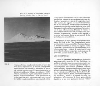 Foro de 10s nevados de la alta puna (Licanca-
bur) con 10s oasis bajos en el primer plano.
rrajera suficiente para la sustentacion de fauna pu-
nefia. Salvo algunas rakes,la mayoriacorresponden
a pastos duros que eliminan la posibilidad de practi-
car intensas recolecciones. Es, en consecuencia,un
paisaje esencialmente ut3 para 10scazadores prehis-
toricos, y mas tarde, regi6n ideal para el traslado de
ganado domesticado (llamas). Los agricultores no
tenian nada que hacer bajo estas condiciones, no asi
10s habiles cazadoresandinos,que durante la prima-
vera y veranointensificabansuscaceriascondardos
arrojadizos, trarnpas y agrupaciones colectivas de-
dicadas a lacapturaen especialde10sgrandes came-
lidos andinos. En algunos casos construian vivien-
das de us0 transitorio, parapetos de ocultamiento, y
singularmente obtenian rocas basalticas y de obsi-
diana que transformaban en excelentes herrarnien-
tas de caza y faenamiento. Durante el verano, se
preocupabande la recoleccionde huevos y del apre-
samiento de guanacos y vicuiias reciCn nacidas a
pesar de las intensas Iluvia, y, en general, de las
perturbaciones atmosfkricas.
A diferenciade otms regiones altiplanicas o de las
punas del Peru, la alta Puna Atacamefia no admite
asentamientos humanos estables. Aun mis, durante
el invierno se debilita el forraje, las lagunas suelen
congelarse, 10s rnamiferos y aves emigran hacia te-
rntorios d s bajos y didos, de modo que 10s caza-
dores abandonaban estos parajes hacia las zonas de
quebradas y oasis inferiores. (La’rninaN.0 2.)
Las quebradas
La zona de quebradasintermediasque bajan de la
alta puna cubren entre 10s 3.250 a 2.433 mts,, un
ambiente mas adecuado, con menos contrastes tir-
micos. Esta vez 10s recursos vegetales (forraje) se
deslizan por 10s fondos de las quebradas, constitu-
yendo multiples lineas verdes que descienden porla
plataforma inclinada hasta el Salarde Atacama. Es-
tos rios encajonados (Puripica, Zapar, Soncor, SO-
caire, Aguas Blancas, Peine, Tulan) suelen presen-
tar vertientes, pastos y serranias cercanas con
abundantes afloramientos de lavas ignimbn’ticas,
basalticas y una muy particular llamada “tulin”
7
 