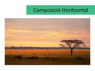 Composició Horitzontal 
 