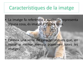 Característiques de la imatge 
• La imatge fa referència a quelcom, representa 
alguna cosa, és imatge d’alguna cosa. 
• Existeix una sèrie de característiques que, en 
major o menor mesura posseixen totes les 
imatges: 
 