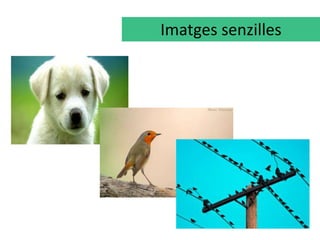 Imatges senzilles 
 