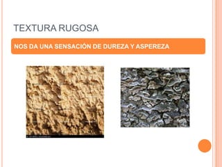 Cultura audiovisual trabajo de texturas | PPTX