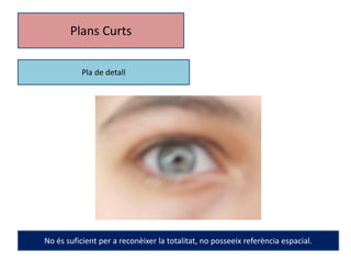 Plans Curts 
Pla de detall 
No és suficient per a reconèixer la totalitat, no posseeix referència espacial. 
 