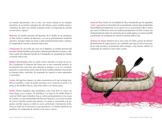 Conociendo la Cultura Aymara | 41 || 40 | Conociendo la Cultura Aymara
un tamaño aproximado a los 20 cms., con suaves espinas en su irregular
superficie, en su interior esponjoso de color blanco, posee semillas negras y
cuadradas, de sabor muy similar al pepino verde. La temporada de cosecha
es entre Juni y Agosto.
Huacatay: Su nombre proviene del Quechua, de la familia de las asteráceas,
en Perú recibe el nombre de Huatacay, y su uso es principalmente medicinal
(gástrico), de hojas verdes, de aroma y sabor particularmente fuerte y sabroso.
La temporada de cosecha es durante todo el año.
Chachacoma: Es una yerba que crece en el altiplano, su nombre proviene del
quechua (chacha=hombre/coma=pobre) utilizada para disminuir la puna, y ade-
más es parte del milenario hervido de la Kalapurka. Su temporada de cosecha
es durante todo el año.
Quinua: Denominado como un seudo cereal, cultivada a lo largo de los an-
des, considerado el alimento del futuro por su alto contenido proteico, se
recomienda lavar muy bien para eliminar el amargo y si se va a consumir
graneada es conveniente tostar antes de lavar, también podemos encontrarla
en formato dulce, confitada. Su temporada de cosecha es entre septiembre
y noviembre.
Locoto: (del quechua Luqutu), su color característico es el rojo variando tam-
bién en amarillo y verde. Se puede encontrar en el comercio en polvo y en
pasta, es de semillas frescas y muy buen sabor y un intenso picor.
Tumbo: Planta trepadora tipo enredadora, crece muy bien en zonas con
altura hasta 4.000 (msnm). Se distribuye a lo largo de los Andes desde el
norte de Chile hasta Colombia. Esta se cultiva principalmente en las zonas
de Camiña y en las comunidades del Alto de Chusmiza, es un fruto ovalado
de corteza amarilla cuando está maduro y su pulpa es anaranjada y de pe-
queñas semillas negras; su sabor es suave, perfumado y ligeramente ácido,
tiene un símil con el maracuyá ya que pertenecen a la misma familia de las
pasifloras. Su temporada de cosecha es de enero a marzo.
Limón de Pica: Cítrico de la localidad de Pica, introducido por los españoles
(1536) y que gracias al microclima de la mencionada comuna logra propiedades
desarrolladas principalmente en su cáscara con su característico sabor y aroma
que marca la diferencia entre sus símiles principalmente de Perú. Cuenta con
denominación de origen. Se caracteriza por su pulpa jugosa, su corteza amarilla
y perfumada. Su temporada de cosecha es durante todo el año.
Aceituna de Azapa: Producto de la zona norte de Chile a punto de obtener
denominación de origen gracias a las cualidades que logra al salir al mercado,
de un color morado y un particular sabor amargo, y muy buenos calibres. La
temporada de cosecha es entre mayo y junio.
 