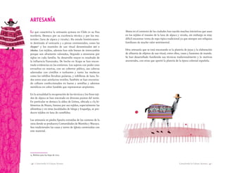 Conociendo la Cultura Aymara | 47 || 46 | Conociendo la Cultura Aymara
Lo que caracteriza la artesanía aymara en Chile es su fina
textilería. Destaca por su excelencia técnica y por los ma-
teriales (lana de alpaca y vicuña). Ha estado históricamen-
te destinada al vestuario y a piezas ceremoniales, como las
chuspas15
y los manteles de uso ritual denominados tari o
inkuñas. Los tejidos, además han sido bienes de intercambio
porque son altamente valorados, llegando a atesorarse por
siglos en cada familia. Su desarrollo mayor es resultado de
la influencia Tiawanaku. De hecho en Azapa se han encon-
trado evidencias en los entierros. Los sujetos con poder eran
envueltos en mantas, con un cobertor púbico, sus cabezas
adornadas con cintillos o turbantes y tanto las muñecas
como los tobillos llevaban pulseras, y tobilleras de lana. To-
dos estos eran artefactos textiles. También se han encontra-
do collares confeccionados en hueso y semillas y adornos
metálicos en cobre fundido que representan serpientes.
En la actualidad la recuperación de las técnicas y los finos teji-
dos de alpaca se han rescatado en diversos puntos del norte.
En particular se destaca la aldea de Lirima, ubicada a 135 ki-
lómetros de Huara, famosa por sus tejidos, especialmente las
alfombras y en otras localidades de Isluga y Enquelga, se pro-
ducen tejidos en lana de camélidos.
Las artesanía en piedra liparita extraídas de las canteras de la
zona donde se producen; Comunidades de Mamiña y Macaya.
Son tradicionales las casas y torres de Iglesia construidas con
este material.
ARTESANÍA
15. Bolsitas para las hojas de coca.
Ahora en el contexto de las ciudades han nacido muchas iniciativas que usan
en los tejidos el insumo de la lana de alpaca y vicuña, sin embargo es muy
difícil encontrar venta de ropa típica tradicional ya que siempre son reliquias
familiares de mucho valor sentimental.
Otra artesanía que se está rescatando es la platería de joyas y la elaboración
de alfarería de objetos de uso ritual, entre ellos, vasos y bastones de mando.
Se han desarrollado fundiendo sus técnicas tradicionalmente y lo motivos
ancestrales, con otras que aportó la platería de la época colonial española.
 