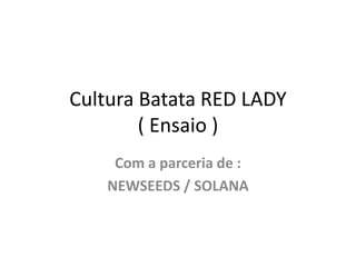 Cultura Batata RED LADY
( Ensaio )
Com a parceria de :
NEWSEEDS / SOLANA
 