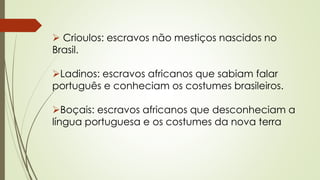  Crioulos: escravos não mestiços nascidos no
Brasil.
Ladinos: escravos africanos que sabiam falar
português e conheciam os costumes brasileiros.
Boçais: escravos africanos que desconheciam a
língua portuguesa e os costumes da nova terra
 