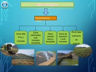 Zona alta
Fría y
húmeda
Zona
intermedia
sub
húmeda
templada
Zona
central
seca y
templada
Zona de
transició
n sub
húmeda
Zona baja
subhúme
da
tropical
 