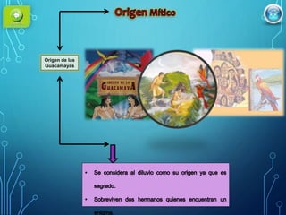 Origen de las
Guacamayas
 