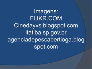 Imagens:FLIKR.COMCinedayvs.blogspot.comitatiba.sp.gov.bragenciadepescabertioga.blogspot.com