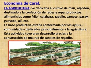 Economía de Caral.
LA AGRICULTURA.-Se dedicaba al cultivo de maíz, algodón,
destinado a la confección de redes y ropa; productos
alimenticios como frijol, calabaza, zapallo, camote, pacay,
guayaba, ají, etc.
La base productiva estaba conformada por los ayllus –
comunidades- dedicados principalmente a la agricultura.
Esta actividad tuvo gran desarrollo gracias a la
construcción de una red de canales de regadío.
 