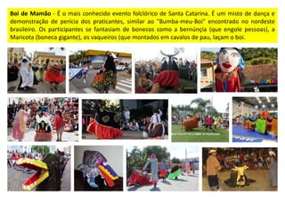 Boi de Mamão - É o mais conhecido evento folclórico de Santa Catarina. É um misto de dança e
demonstração de perícia dos praticantes, similar ao "Bumba-meu-Boi" encontrado no nordeste
brasileiro. Os participantes se fantasiam de bonecos como a bernúnçia (que engole pessoas), a
Maricota (boneca gigante), os vaqueiros (que montados em cavalos de pau, laçam o boi.
 