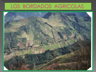 LOS  BORDADOS  AGRICOLAS
