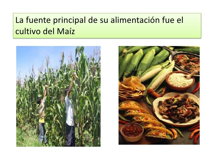 Cultura chavin