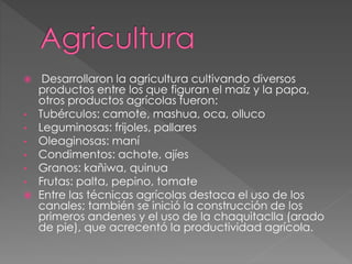  Desarrollaron la agricultura cultivando diversos
productos entre los que figuran el maíz y la papa,
otros productos agrícolas fueron:
• Tubérculos: camote, mashua, oca, olluco
• Leguminosas: frijoles, pallares
• Oleaginosas: maní
• Condimentos: achote, ajíes
• Granos: kañiwa, quinua
• Frutas: palta, pepino, tomate
 Entre las técnicas agrícolas destaca el uso de los
canales; también se inició la construcción de los
primeros andenes y el uso de la chaquitaclla (arado
de pie), que acrecentó la productividad agrícola.
 