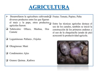 AGRICULTURA
 Desarrollaron la agricultura cultivando
diversos productos entre los que figuran
el maíz y la papa, otros productos
agrícolas fueron:
 Tubérculos: Olluco, Mashua, Oca
Camote
 Leguminosas: Pallares , Frijoles
 Oleaginosas: Maní
 Condimentos: Ajíes
 Granos: Quinua , Kañiwa
 Frutas: Tomate, Pepino, Palta
 Entre las técnicas agrícolas destaca el
uso de los canales, también se inició la
construcción de los primeros andenes y
el uso de la chaquitaclla (arado de pie)
acrecentó la productividad agrícola.
 