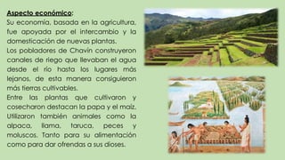 Aspecto económico:
Su economía, basada en la agricultura,
fue apoyada por el intercambio y la
domesticación de nuevas plantas.
Los pobladores de Chavín construyeron
canales de riego que llevaban el agua
desde el río hasta los lugares más
lejanos, de esta manera consiguieron
más tierras cultivables.
Entre las plantas que cultivaron y
cosecharon destacan la papa y el maíz.
Utilizaron también animales como la
alpaca, llama, taruca, peces y
moluscos. Tanto para su alimentación
como para dar ofrendas a sus dioses.
 