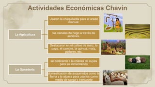 Actividades Económicas Chavín
La Agricultura
Usaron la chaquitaclla para el arado
manual.
los canales de riego a través de
andenes.
Destacaron en el cultivo de maíz, la
papa, el camote, la quinua, maíz,
pallares, etc.
La Ganadería
se dedicaron a la crianza de cuyes
para su alimentación
domesticación de auquénidos como la
llama y la alpaca para usarlos como
medio de carga y transporte
 