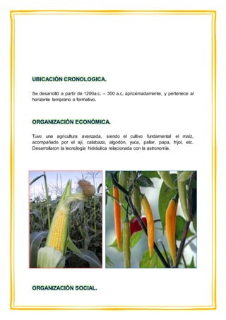 UBICACIÓN CRONOLOGICA.
Se desarrolló a partir de 1200a.c. – 300 a.c, aproximadamente, y pertenece al
horizonte temprano o formativo.
ORGANIZACIÓN ECONÓMICA.
Tuvo una agricultura avanzada, siendo el cultivo fundamental el maíz,
acompañado por el ají, calabaza, algodón, yuca, pallar, papa, frijol, etc.
Desarrollaron la tecnología hidráulica relacionada con la astronomía.
ORGANIZACIÓN SOCIAL.
 
