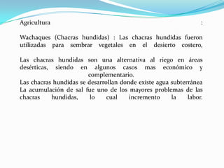 Agricultura                                                      :

Wachaques (Chacras hundidas) : Las chacras hundidas fueron
utilizadas para sembrar vegetales en el desierto costero,

Las chacras hundidas son una alternativa al riego en áreas
desérticas, siendo en algunos casos mas económico y
                        complementario.
Las chacras hundidas se desarrollan donde existe agua subterránea
La acumulación de sal fue uno de los mayores problemas de las
chacras    hundidas,     lo    cual    incremento     la    labor.
 