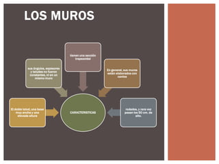 LOS MUROS
tienen una sección
trapezoidal
sus ángulos, espesores
y taludes no fueron
constantes, ni en un
mismo muro

El doble talud, una base
muy ancha y una
elevada altura

En general, sus muros
están elaborados con
cantos

CARACTERISTICAS

rodados, y rara vez
pasan los 50 cm. de
alto.

 