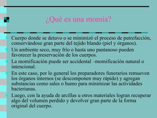 ¿Qué es una momia? Cuerpo donde se detuvo o se minimizó el proceso de putrefacción, conservándose gran parte del tejido blando (piel y órganos).  Un ambiente seco, muy frío o hasta uno pantanoso pueden favorecer la preservación de los cuerpos.  La momificación puede ser accidental –momificación natural o  intencional. En este caso, por lo general los preparadores funerarios remueven los órganos internos (se descomponen muy rápido) y agregan substancias como sales o humo para minimizar las actividades bacterianas.  Luego, con la ayuda de arcillas u otros materiales logran recuperar algo del volumen perdido y devolver gran parte de la forma original del cuerpo.  
