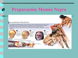 Preparación Momia Negra 