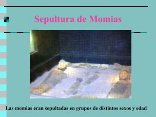 Sepultura de Momias Las momias eran sepultadas en grupos de distintos sexos y edad 