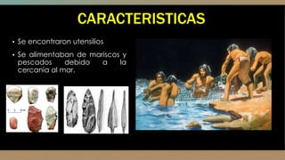 CARACTERISTICAS
▪ Se encontraron utensilios
▪ Se alimentaban de mariscos y
pescados debido a la
cercania al mar.
 