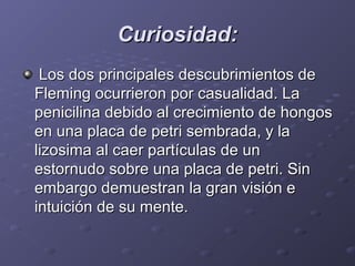 Curiosidad:Curiosidad:
  Los dos principales descubrimientos de Los dos principales descubrimientos de 
Fleming ocurrieron por casualidad. La Fleming ocurrieron por casualidad. La 
penicilina debido al crecimiento de hongos penicilina debido al crecimiento de hongos 
en una placa de petri sembrada, y la en una placa de petri sembrada, y la 
lizosima al caer partículas de un lizosima al caer partículas de un 
estornudo sobre una placa de petri. Sin estornudo sobre una placa de petri. Sin 
embargo demuestran la gran visión e embargo demuestran la gran visión e 
intuición de su mente. intuición de su mente. 
 