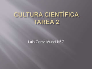 Luis Garzo Muriel Nº 7
 