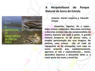 A Herpetofauna do Parque
Natural da Serra da Estrela
Autores: Daniel Lesparre e Eduardo
Crespo
Serpentes, lagartos, rãs e sapos…
todos nomes conhecidos. Mas estes estranhos
e discretos animais não são compreendidos da
mesma maneira por toda a gente. A grande
maioria arrepia-se só de pensar neles, à
simples apresentação das suas imagens. No
entanto, uma criança não vê nada de
repugnante ou de ameaçador num sapo ou
numa serpente que, espontaneamente,
agarraria se não a repreendessem…. Assim,
aprenderá depressa a desconfiar deles e, a
maior parte das vezes, a temê-los.
 