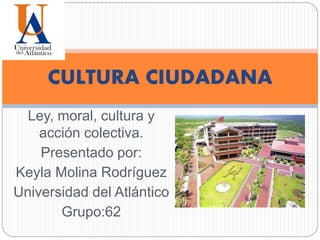 Ley, moral, cultura y
acción colectiva.
Presentado por:
Keyla Molina Rodríguez
Universidad del Atlántico
Grupo:62
CULTURA CIUDADANA
 