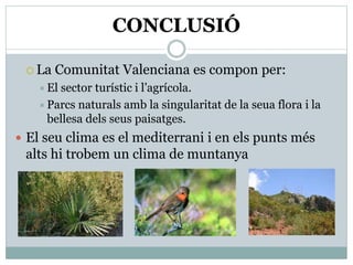CONCLUSIÓ
 La Comunitat Valenciana es compon per:
El sector turístic i l’agrícola.
Parcs naturals amb la singularitat de la seua flora i la
bellesa dels seus paisatges.
 El seu clima es el mediterrani i en els punts més
alts hi trobem un clima de muntanya
 