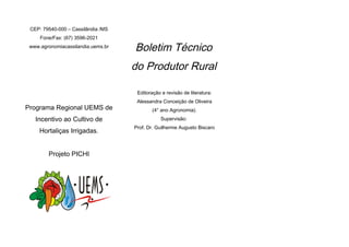 CEP: 79540-000 – Cassilândia /MS
Fone/Fax: (67) 3596-2021
www.agronomiacassilandia.uems.br
Programa Regional UEMS de
Incentivo ao Cultivo de
Hortaliças Irrigadas.
Projeto PICHI
Boletim Técnico
do Produtor Rural
Editoração e revisão de literatura:
Alessandra Conceição de Oliveira
(4° ano Agronomia).
Supervisão:
Prof. Dr. Guilherme Augusto Biscaro
 