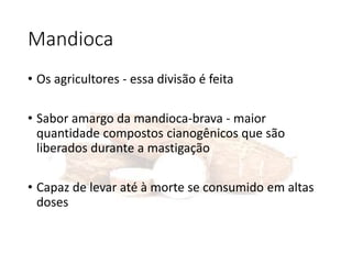 Mandioca
• Os agricultores - essa divisão é feita
• Sabor amargo da mandioca-brava - maior
quantidade compostos cianogênicos que são
liberados durante a mastigação
• Capaz de levar até à morte se consumido em altas
doses
 