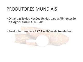 PRODUTORES MUNDIAIS
• Organização das Nações Unidas para a Alimentação
e a Agricultura (FAO) – 2016
• Produção mundial - 277,1 milhões de toneladas
 