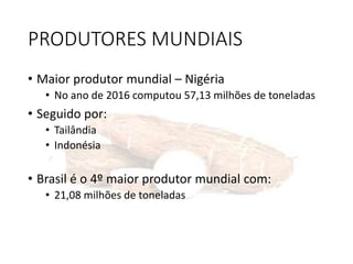 PRODUTORES MUNDIAIS
• Maior produtor mundial – Nigéria
• No ano de 2016 computou 57,13 milhões de toneladas
• Seguido por:
• Tailândia
• Indonésia
• Brasil é o 4º maior produtor mundial com:
• 21,08 milhões de toneladas
 