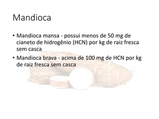 Mandioca
• Mandioca mansa - possui menos de 50 mg de
cianeto de hidrogênio (HCN) por kg de raiz fresca
sem casca
• Mandioca brava - acima de 100 mg de HCN por kg
de raiz fresca sem casca
 