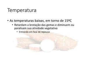 Temperatura
• As temperaturas baixas, em torno de 15ºC
• Retardam a brotação das gemas e diminuem ou
paralisam sua atividade vegetativa
• Entrando em fase de repouso
 