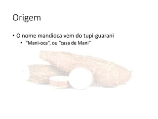 Origem
• O nome mandioca vem do tupi-guarani
• “Mani-oca”, ou “casa de Mani”
 