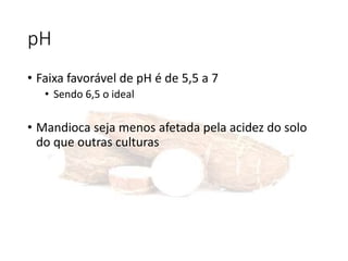 pH
• Faixa favorável de pH é de 5,5 a 7
• Sendo 6,5 o ideal
• Mandioca seja menos afetada pela acidez do solo
do que outras culturas
 