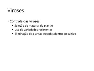 Viroses
• Controle das viroses:
• Seleção de material de plantio
• Uso de variedades resistentes
• Eliminação de plantas afetadas dentro do cultivo
 