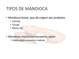 TIPOS DE MANDIOCA
• Mandioca-brava, que dá origem aos produtos:
• Farinha
• Tucupi
• Goma, etc
• Mandioca-mansa ou macaxeira, aipim
• Usada para consumo in natura
 