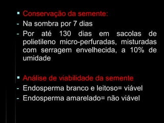  Conservação da semente:Conservação da semente:
- Na sombra por 7 diasNa sombra por 7 dias
- Por até 130 dias em sacolas dePor até 130 dias em sacolas de
polietileno micro-perfuradas, misturadaspolietileno micro-perfuradas, misturadas
com serragem envelhecida, a 10% decom serragem envelhecida, a 10% de
umidadeumidade
 Análise de viabilidade da sementeAnálise de viabilidade da semente
- Endosperma branco e leitoso= viávelEndosperma branco e leitoso= viável
- Endosperma amarelado= não viávelEndosperma amarelado= não viável
 